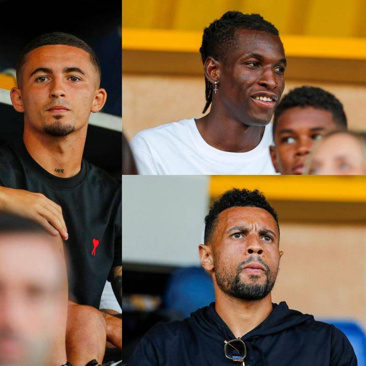 马尼亚的小 马尼亚的小