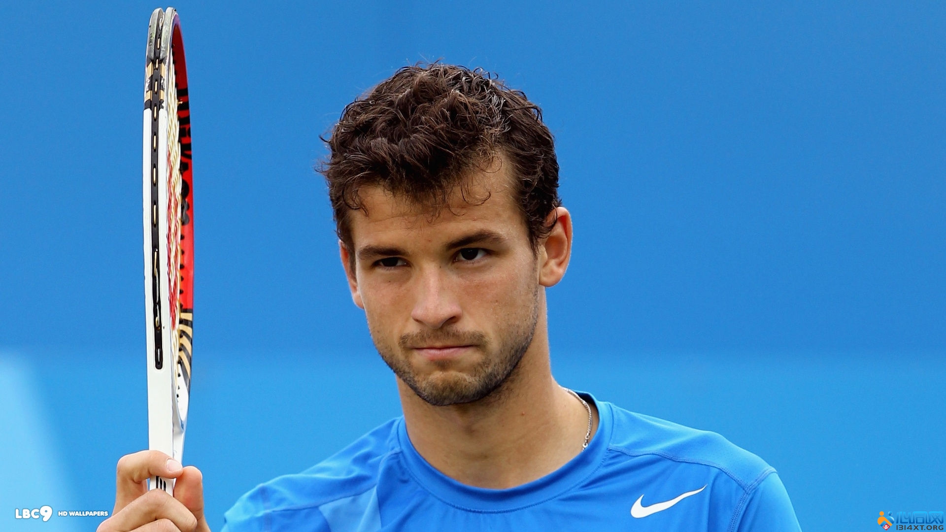 的高光表现 的高光表现